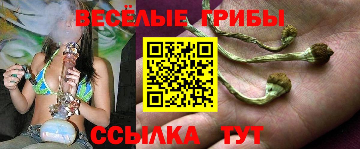 Псилоцибиновые грибы прущие грибы Вышний Волочёк
