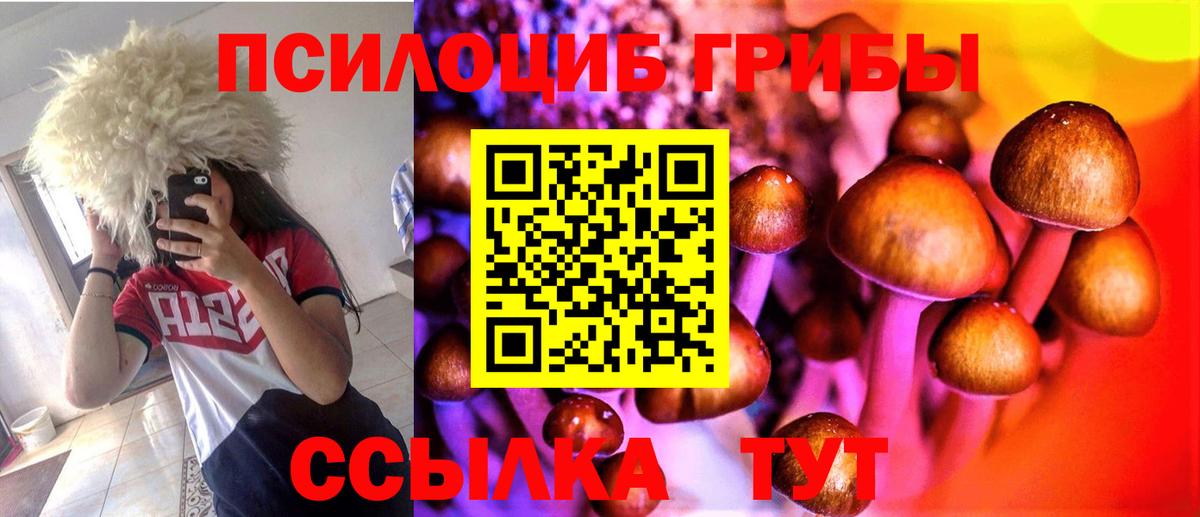 Вышний Волочёк  Галлюциногенные грибы Psilocybe  Вход с VPN  Псилоцибиновые грибы GOLDEN TEACHER 